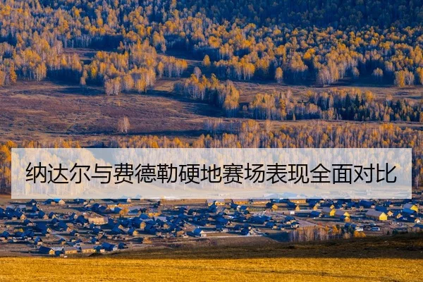 na-da-er-yu-fei-de-lei-ying-di-sai-chang-biao-xian-quan-mian-dui-bi-2-703.jpg