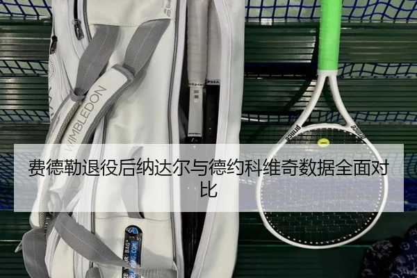 费德勒退役后纳达尔与德约科维奇数据全面对比